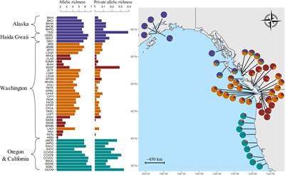 Range wide genetic differentiation in the bull kelp Nereocystis luetkeana with a seascape genetic focus on the Salish Sea